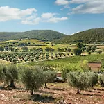 Poggiolivi Bio In Maremma