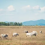 컨트리하우스 Poggiolivi Bio In Maremma