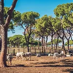 Poggiolivi Bio In Maremma 컨트리하우스 *