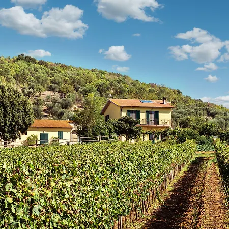 Poggiolivi Bio In Maremma * Alberese