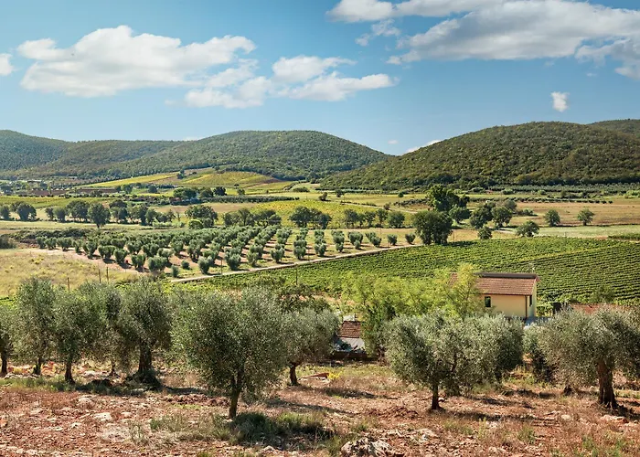 Poggiolivi Bio In Maremma