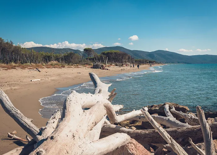 Poggiolivi Bio In Maremma Εξοχικό σπίτι