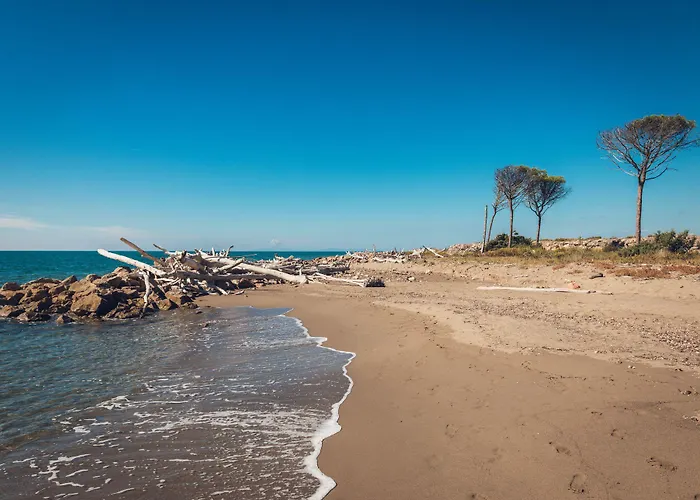 Poggiolivi Bio In Maremma Εξοχικό σπίτι *