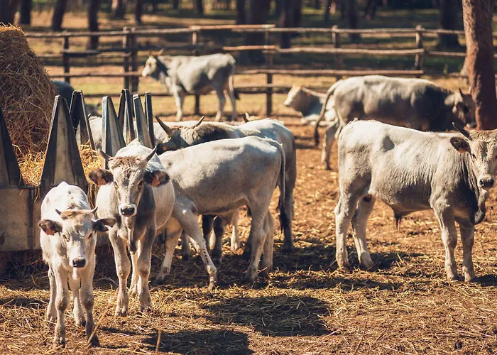 Εξοχικό σπίτι Poggiolivi Bio In Maremma Alberese