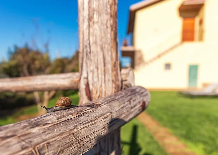 Poggiolivi Bio In Maremma Alberese