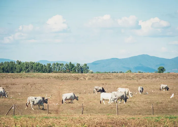 Εξοχικό σπίτι Poggiolivi Bio In Maremma