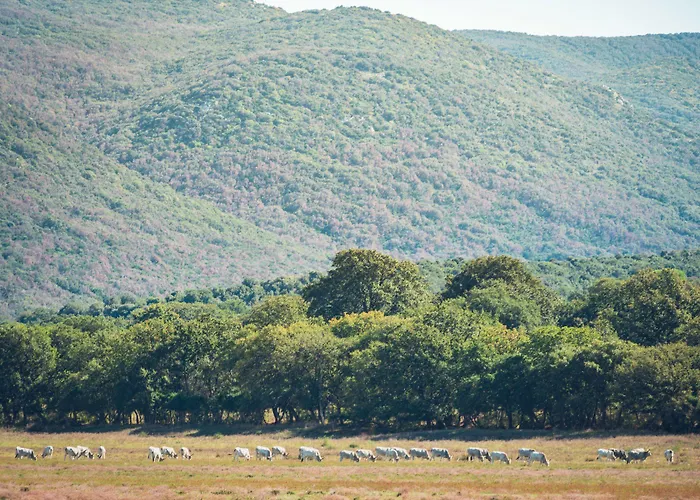 Εξοχικό σπίτι Poggiolivi Bio In Maremma *