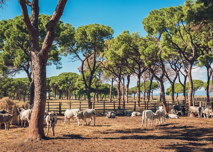 Poggiolivi Bio In Maremma Εξοχικό σπίτι *