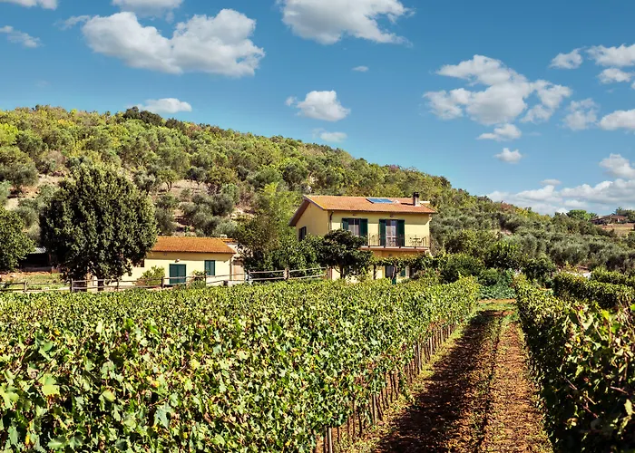 Poggiolivi Bio In Maremma * Alberese