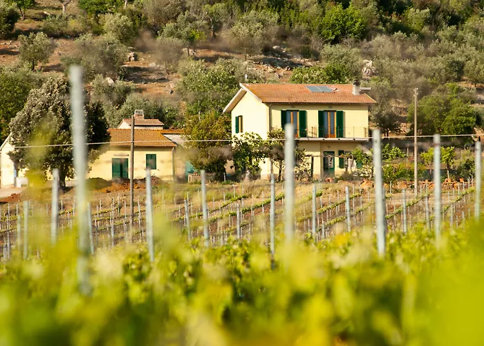 Εξοχικό σπίτι Poggiolivi Bio In Maremma Alberese